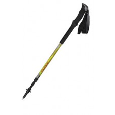 RADIANT AS ROUNDHEAD MID